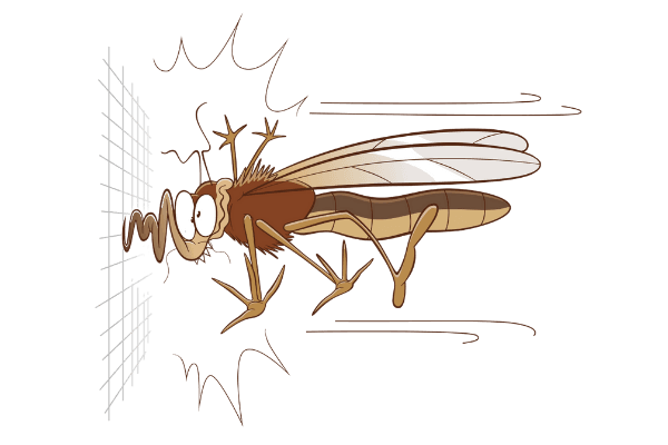 Fliegengitter.org